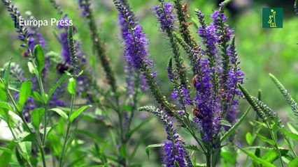 La Tierra entra en números rojos tras agotar los recursos naturales para 2022