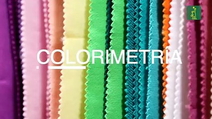 Colorimetría, conoce los colores que te favorecen