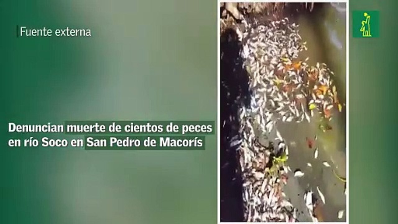 Denuncian muerte de cientos de peces en río Soco en San Pedro de Macorís