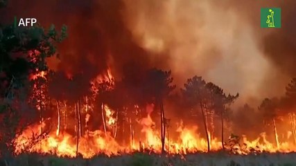 Incendios atormentan al suroeste de Europa, Reino Unido en alerta roja