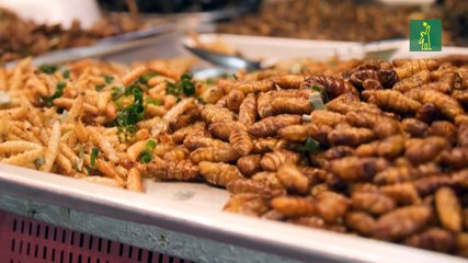 Los grillos ganan adeptos como alimento saludable y sostenible en Tailandia