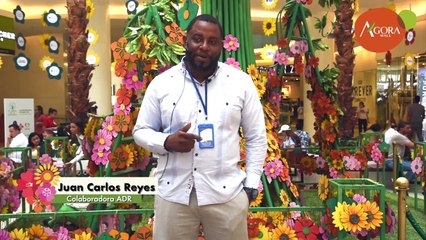 La importancia de elegir una buena mochila