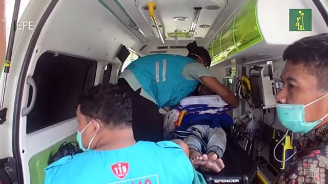 Al menos 125 muertos en Indonesia en una de las peores tragedias del fútbol