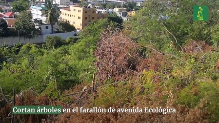"Cortan árboles en el farallón de avenida Ecológica