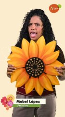 Haz que tu empresa forme parte del Árbol de la Esperanza