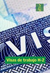 Boletin Dl Stephanie Soto