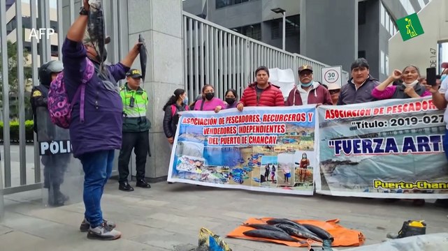Lanzan peces negros a oficinas de Repsol en protesta por derrame en Lima