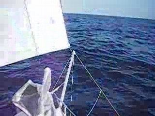 dauphins et Zoukati sous spi GPI 2008