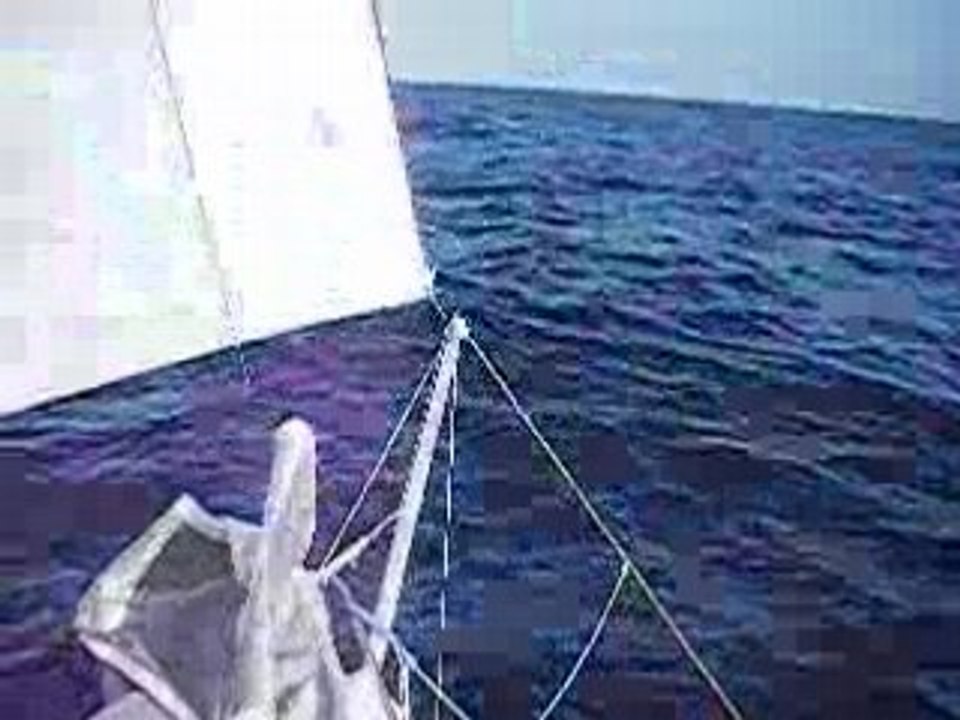 dauphins et Zoukati sous spi GPI 2008