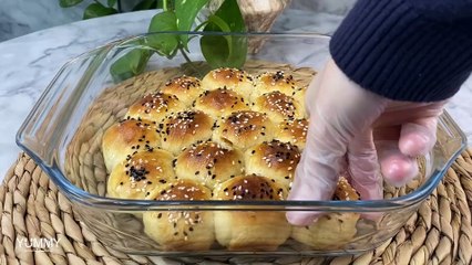 خلية النحل بالجبنة