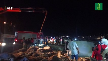 Casi una veintena de migrantes muertos en dos naufragios en Grecia