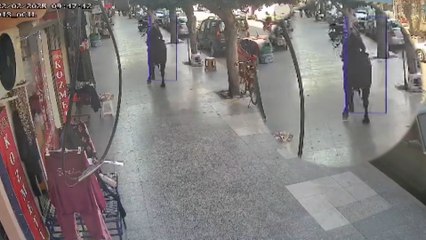 Angusun kaldırımdaki kişiyi boynuz darbesiyle yaraladığı anlar kamerada