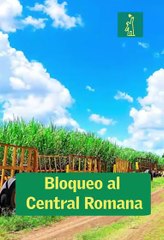 Boletin DL Stephanie Soto