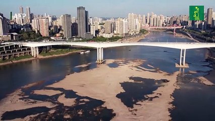 Cambio climático aumentó probabilidad de sequía "al menos 20 veces"