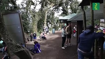 El volcán Acatenango, un desafío para los amantes de los volcanes en Centroamérica