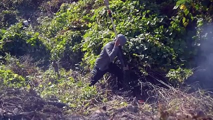 Cortan plantas nativas del farallón de Avenida Ecológica
