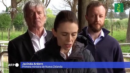 Nueva Zelanda presenta plan para gravar los gases naturales del ganado