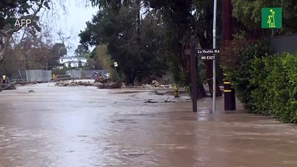 Diluvio en California deja más de una decena de muertos y celebridades afectadas