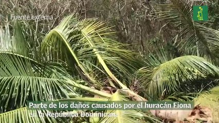 Parte de los daños causados por el huracán Fiona en la República Dominicana