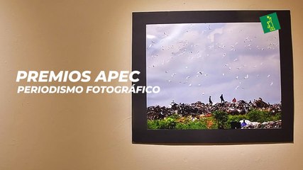 Premios APEC periodismo fotográfico