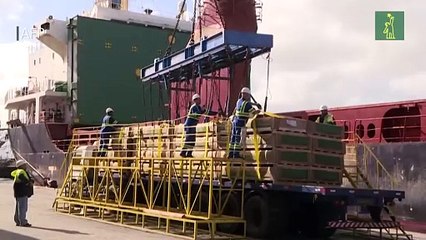 Fuerte freno del comercio mundial en 2023, según prevé la OMC