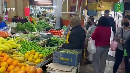 Estadounidenses se ven empujados a comprar huevos en México debido a la gripe aviar y la inflación