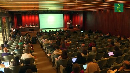 El clero católico de Portugal abusó sexualmente de casi 5,000 menores desde 1950