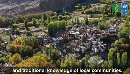 La India intenta salvar el ecosistema para proteger al leopardo de las nieves