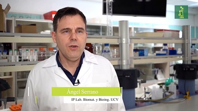 Investigadores de la UCV desarrollan un pintalabios antimicrobiano