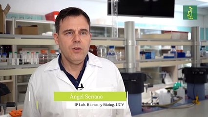 Investigadores de la UCV desarrollan un pintalabios antimicrobiano