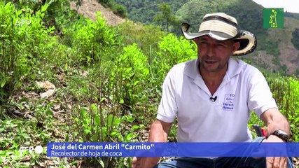 "Carmito", el rostro de los campesinos cocaleros perseguidos en Colombia