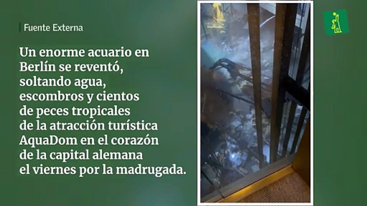 Un enorme acuario en Berlín se reventó, soltando agua, escombros y cientos de peces tropicales de la atracción turística AquaDom en el corazón de la capital alemana el viernes por la madrugada.