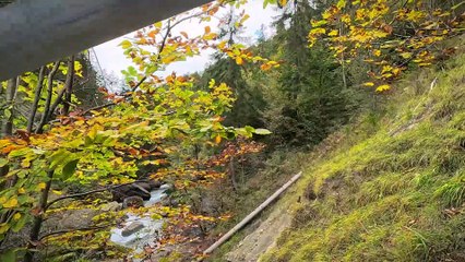 Meadow, Waterfalls, Germany