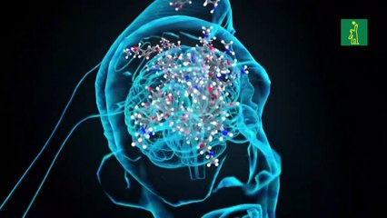 El flechazo amoroso, las flechas de Cupido no alcanzan el corazón sino el cerebro