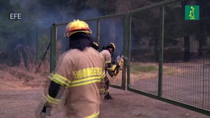 Brigadistas internacionales empiezan a operar en el epicentro de incendios en Chile