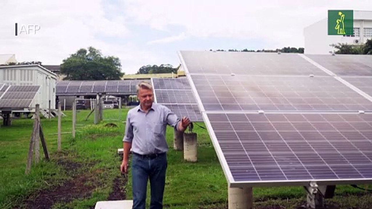América Latina, próxima a convertirse en gigante de energías renovables, según informe
