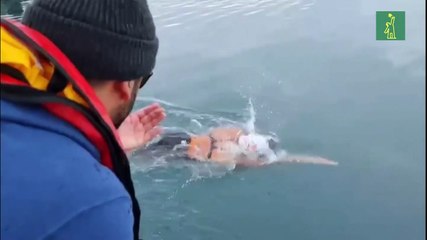 "La sirena de hielo" que consigue el récord de nadar 2,5 kilómetros en la Antártida
