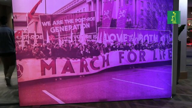 El derecho al aborto en Estados Unidos no llega vigente a su 50 aniversario