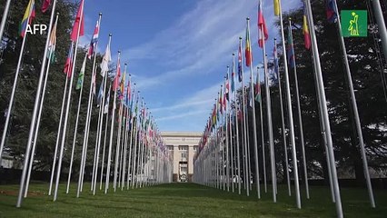 Rusia propone prorrogar acuerdo de exportación de cereales ucranianos, pero sólo 60 días