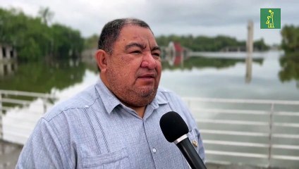 Investigadores sobre efectos del deshielo en México: "Se puede perder un 40% de la península"