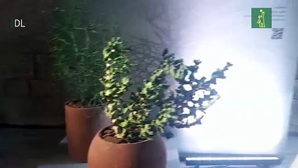 Inauguran Design Week RD 2023, una propuesta marca país