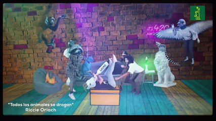 Riccie Oriach estrena "Todos los animales se drogan"