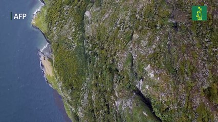 Viuda del fundador de The North Face dona tierras en Chile para crear parque nacional