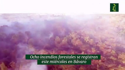 Ocho incendios forestales se registran este miércoles en Bávaro