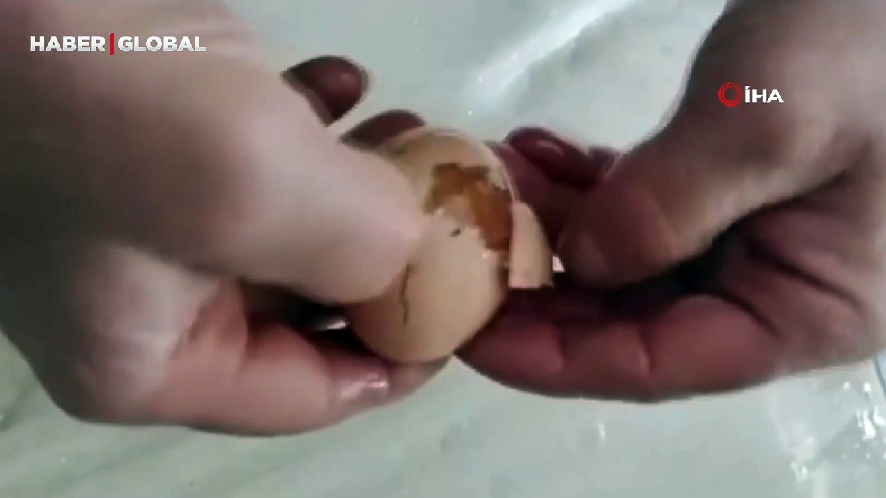 Elazığ’da yumurtaların soğuktan donduğu anlar