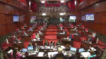 Faride Raful apoya juicio político contra todos los miembros de la Cámara de Cuentas