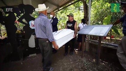 Fueron sepultados restos de víctimas de masacre salvadoreña