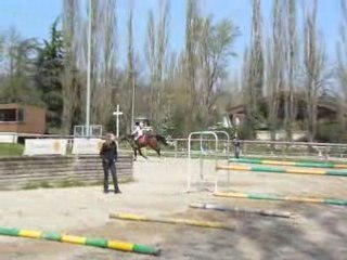 Mon record de saut d'obstacle