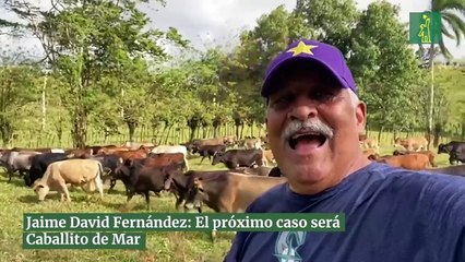 Jaime David Fernández: El próximo caso será Caballito de Mar