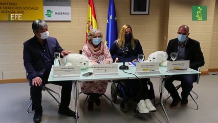 El robot foca que podría aliviar la depresión en pacientes con demencia